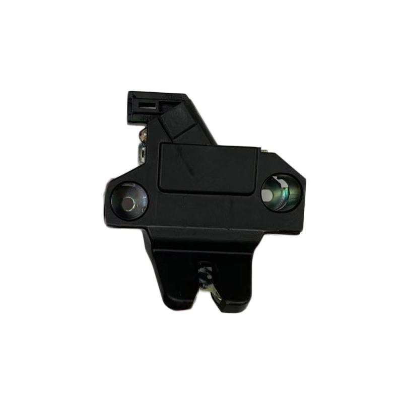 Lock & Remote Control Assembly Back Door - 646000D070